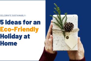Tips for an Eco-Friendly Holiday at Your House | Read A Bit Blog | NewCenturyMN.com | 320-492-3420